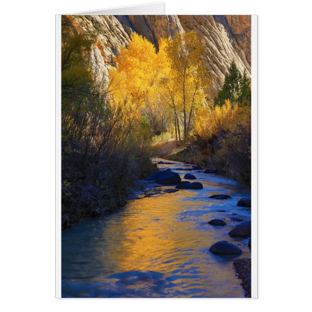 Escalante reflexion hälsningskort (Framsidan)