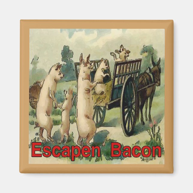 Escaping Bacon, Hogs Magnet (Framsidan)