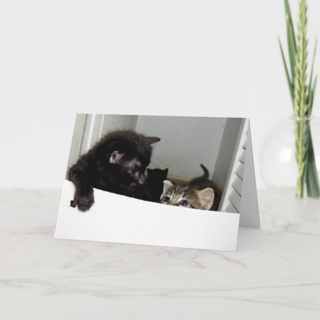 Escaping Kittens Greeting Card Kort (Framsida)