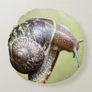 Escargot - Rikens glädje Rund Kudde