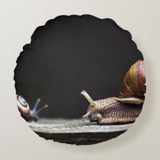 Escargots - Snigel Mollusk Rund Kudde (Framsidan)