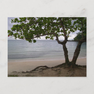 Escondido Beach Vykort