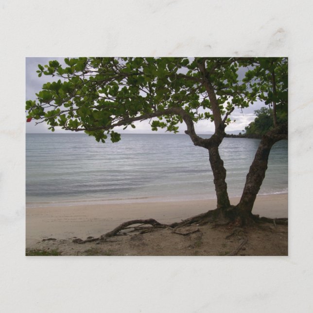 Escondido Beach Vykort (Framsida)