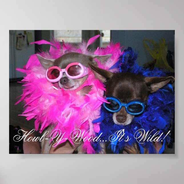 Ese and Lola Go Hollywood Poster (Framsidan)