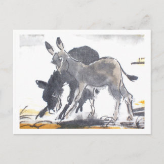 Esel nr 01 * Esel-Postkarten * Donkey-Postcards Vykort
