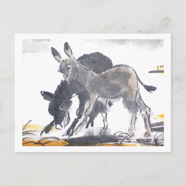 Esel nr 01 * Esel-Postkarten * Donkey-Postcards Vykort (Framsida)