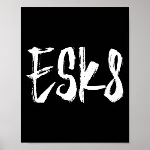 Esk8 - Elektrisk skateboardåkning  Poster