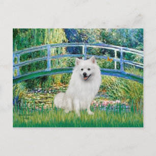 Eskimo Spitz 1 - Bridge Vykort