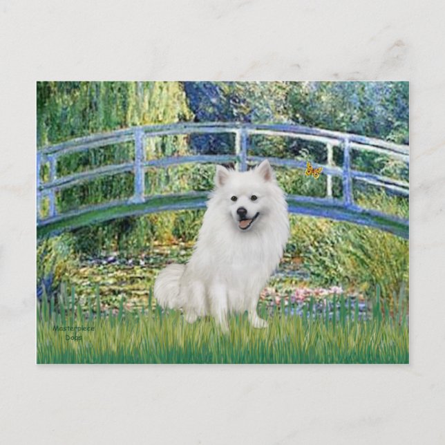 Eskimo Spitz 1 - Bridge Vykort (Framsida)