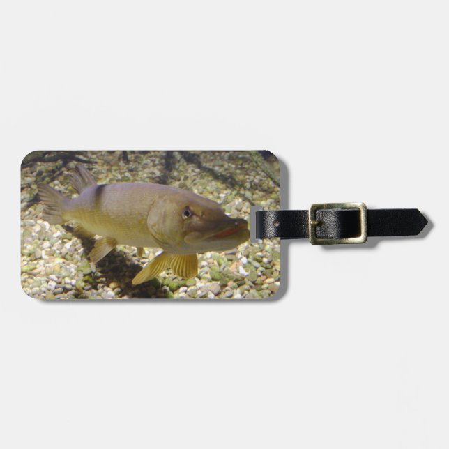Esox lucius bagagebricka (Horisontell Framsida)