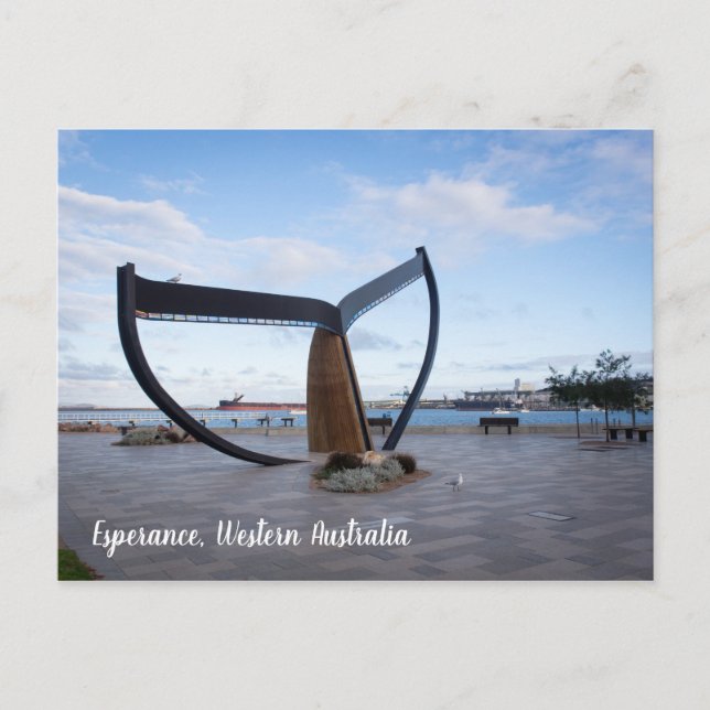 Esperance Esplanade Western Australia vycard Vykort (Framsida)