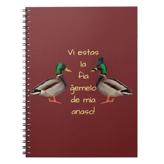 Esperanto: Du är min ankas fi-tvilling! Anteckningsbok (Framsidan)