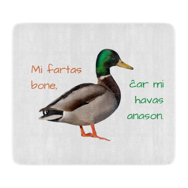 Esperanto: Jag mår bra, för jag har en anka. (Framsidan)