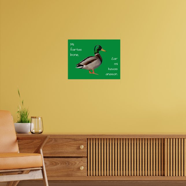 Esperanto: Jag mår bra, för jag har en anka. Poster (Vardagsrum 2)