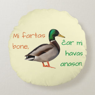 Esperanto: Jag mår bra, för jag har en anka. Rund Kudde