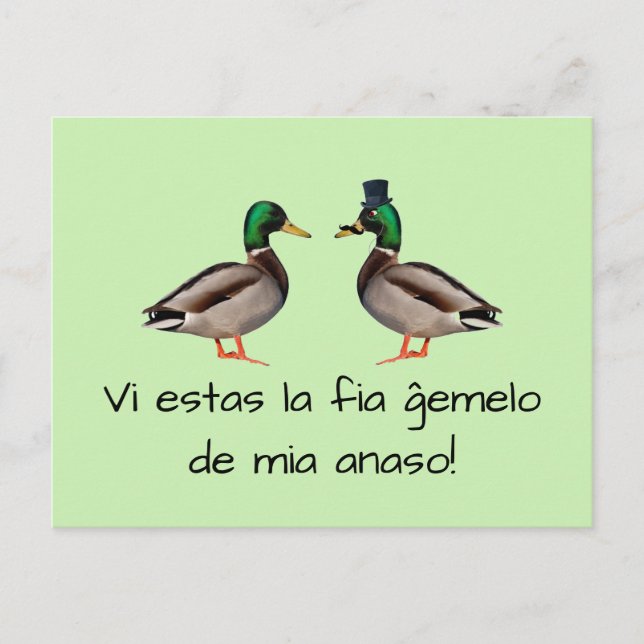 Esperanto: Lafia ĝemelo de mia för estas Vi anaso! Vykort (Framsida)