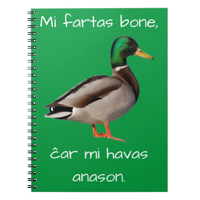 Esperanto: Mi-fartasben, ĉar mi havas anason. Anteckningsbok (Framsidan)