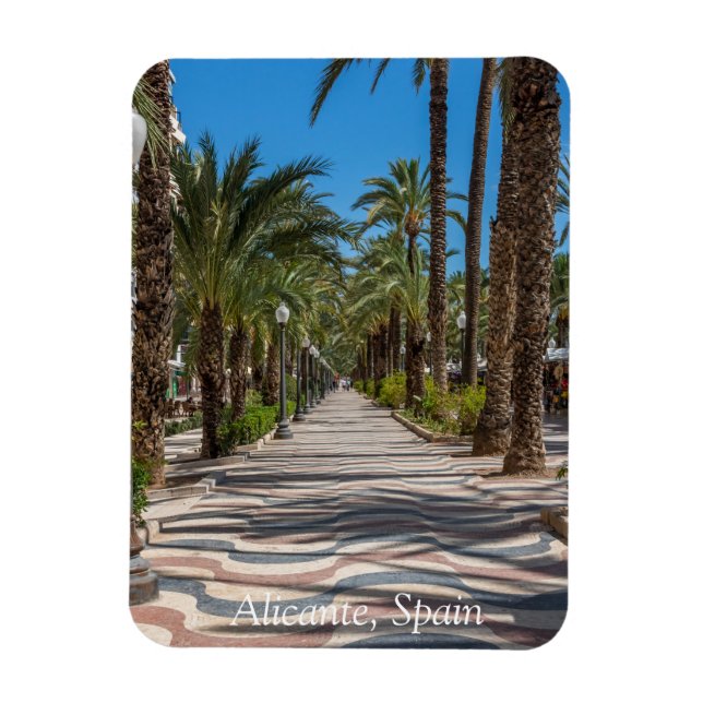 Esplanade, Alicante, Spanien Magnet (Vertikal)
