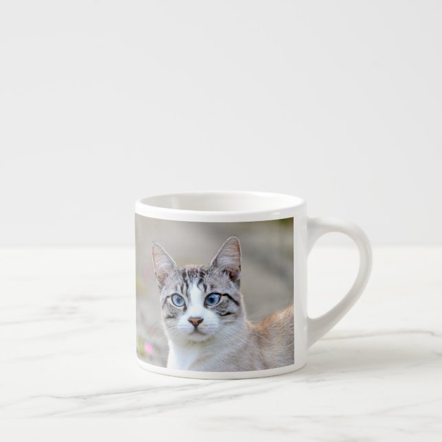 espresso kopp Photo cat pet. espresso kopp Espressomugg (Höger)