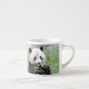espresso kopp Photo jätte panda. Espressomugg