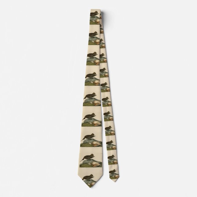 Esquimaux Curlew från Audubon's Birds of America Slips (Framsida)