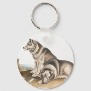 Esquimaux Hund (Canis familiaris) Illustration Nyckelring