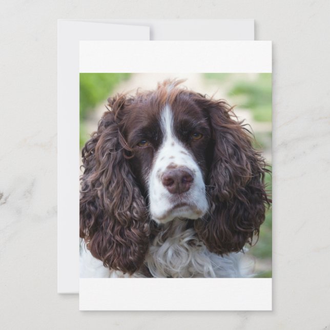 ESS levervit sekund (Framsida)