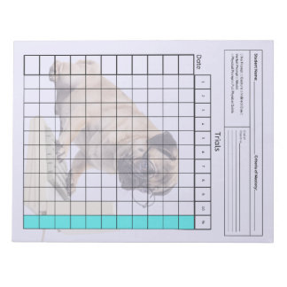 Essential SpEd Verktyg: Blank Data Lakan (försök) Anteckningsblock