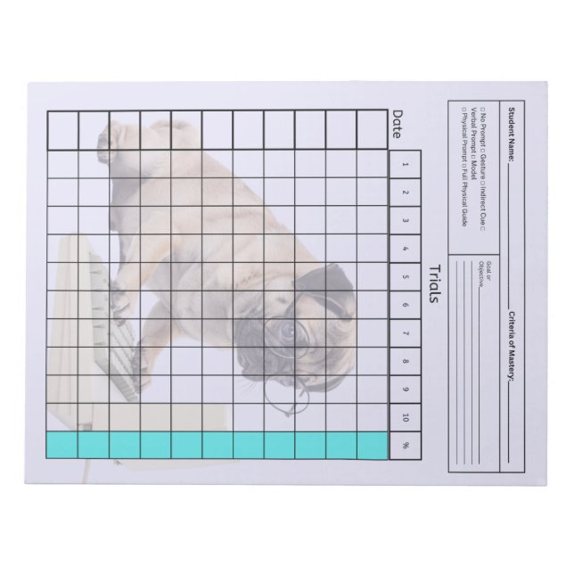 Essential SpEd Verktyg: Blank Data Lakan (försök) Anteckningsblock (Framsida)