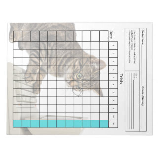 Essential SpEd Verktyg: Blank Data Lakan (försök) Anteckningsblock