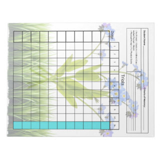 Essential SpEd Verktyg: Blank Data Lakan (försök) Anteckningsblock