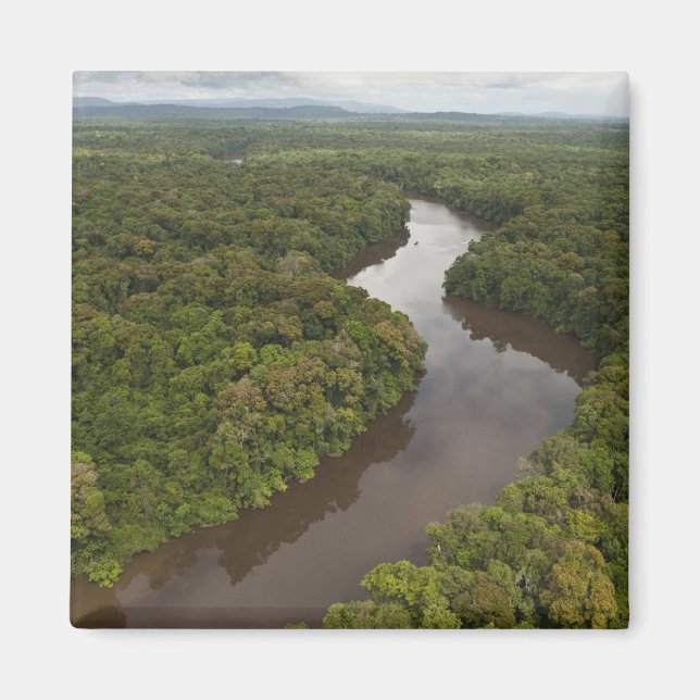 Essequibo River, den längsta floden i Guyana och 5 Magnet (Framsidan)