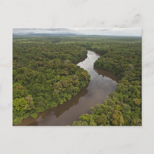 Essequibo River, den längsta floden i Guyana och 5 Vykort (Framsida)