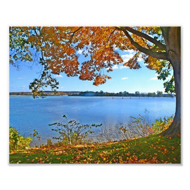 Essex i höstfotoutskrift fototryck (Framsidan)