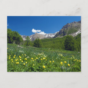 Estenc Valley i vår Fransk Riviera Vykort