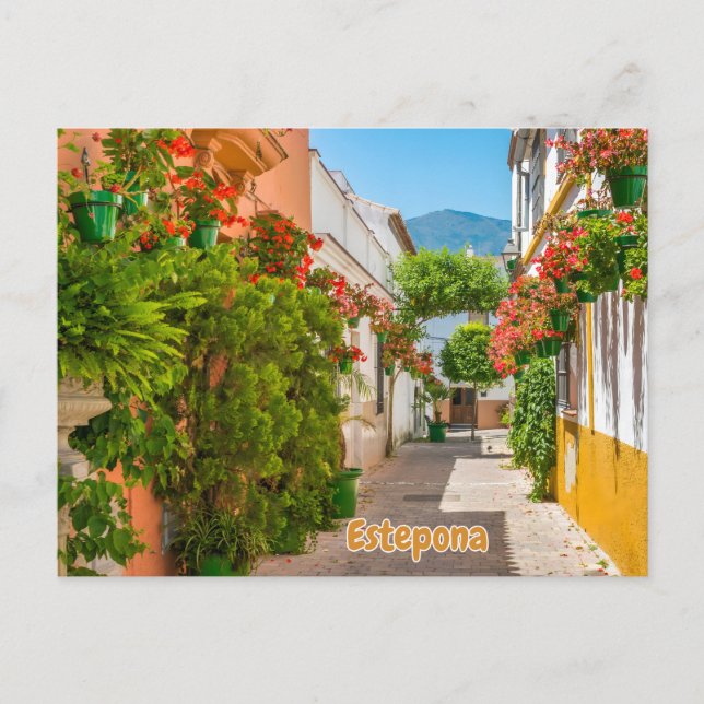  Estepona, Spain Charming Town in Malaga Street  Vykort (Framsida)