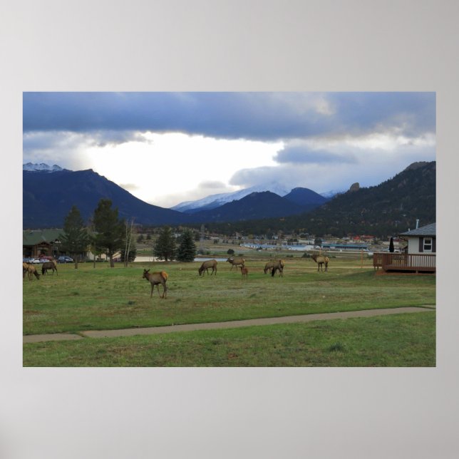 Estes Park, Co Poster (Framsidan)