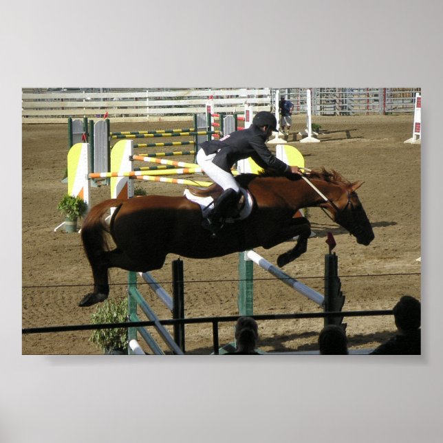 Estes Park Series (1) Poster (Framsidan)