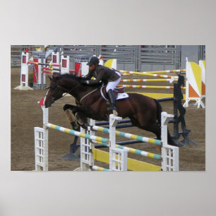 Estes Park Series (3) Poster