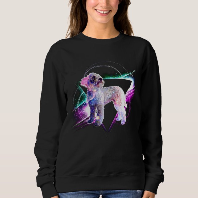 Estetisk Galaxy Lagotto Romagnolo T Shirt (Framsida)