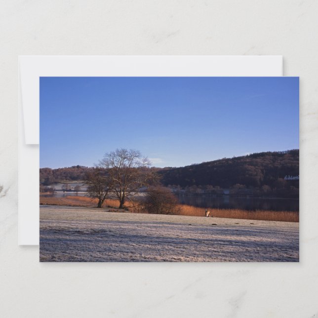 Esthwiate Vatten Winter-Helgdag-kort Julkort (Framsida)