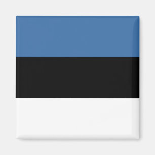 Estland flaggamagnet magnet