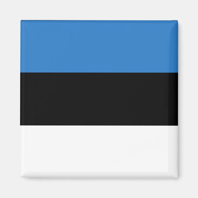 Estland Land Flagga Magnet (Framsidan)
