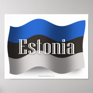 Estland som vinkar flagga poster