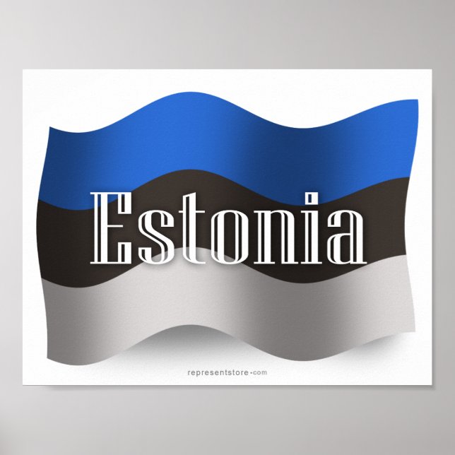 Estland Wave Flagga Poster (Framsidan)
