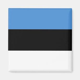 Estlands flagga magnet