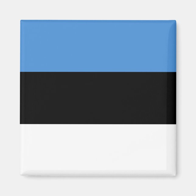 Estlands flagga magnet (Framsidan)