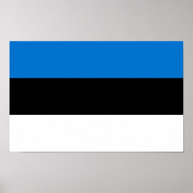 Estlands flagga poster (Framsidan)