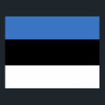 Estlands flagga poster<br><div class="desc">Joniska flagga,  estonien,  Tallinn,  Valletta,  vapensköld,  Europa,  Finland,  flagga,  baltisk,  rustik,  resande,  äventyr,  kultur,  latvia,  djur,  djur,  djur,  vintage,  utforskning,  vandring,  Mor-jord,  miljövård,  bevarande av vilda djur och växter.</div>