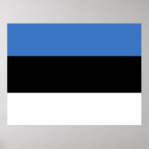 Estlands flagga poster